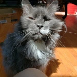 Meet your Posher, Yanyan